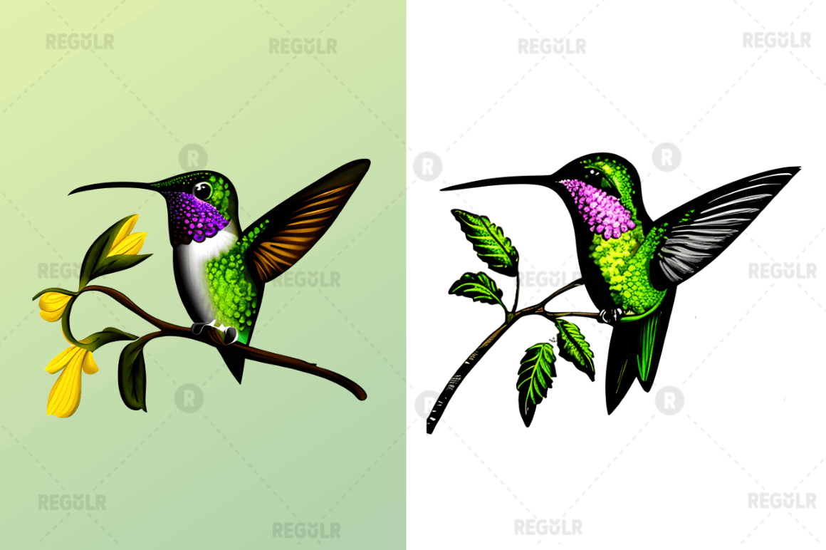 Watercolor Cute Hummingbird Clipart Bundle