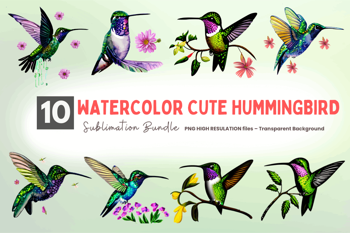 Watercolor Cute Hummingbird Clipart Bundle