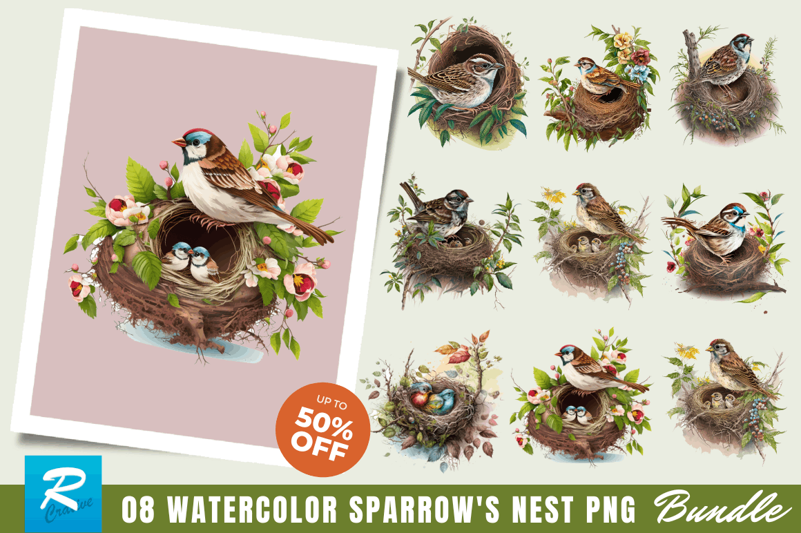 Watercolor Sparrow's Nest Clipart Bundle