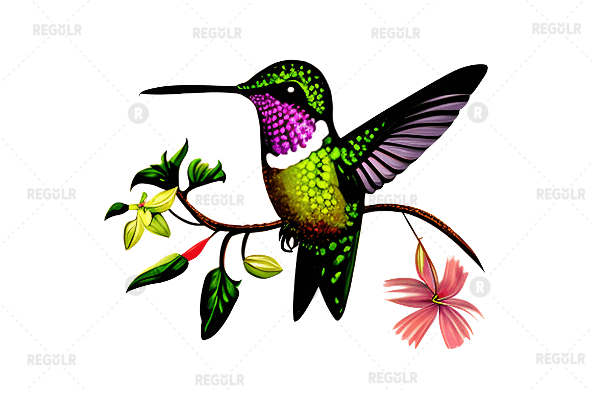 Watercolor Cute Hummingbird Clipart Bundle