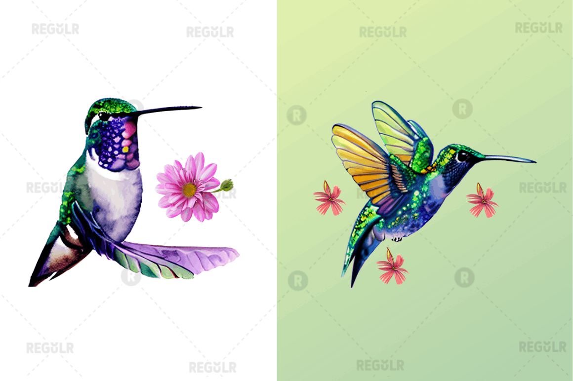 Watercolor Cute Hummingbird Clipart Bundle