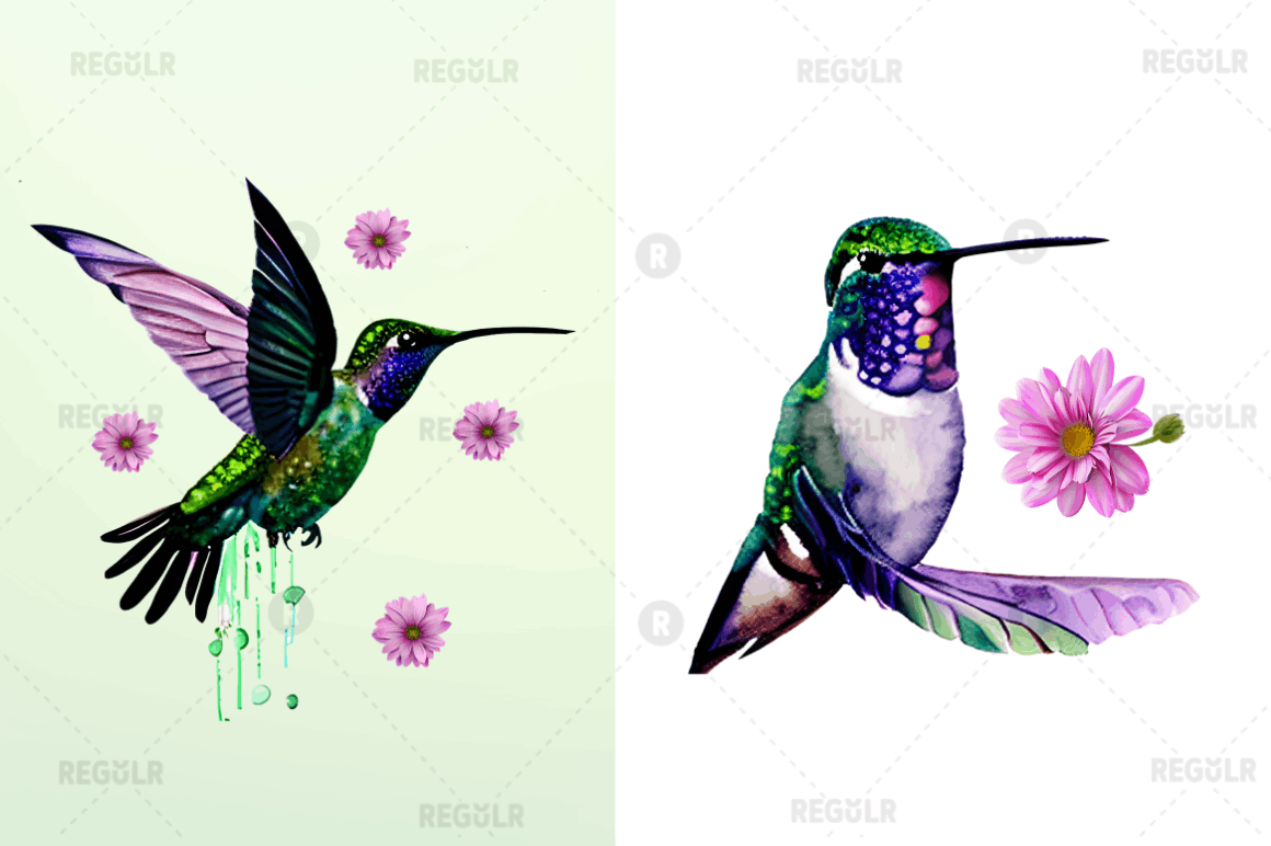 Watercolor Cute Hummingbird Clipart Bundle
