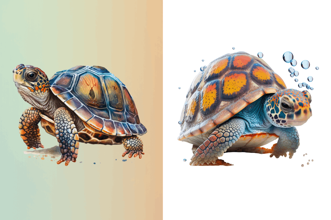 Watercolor Cute Turtle Sublimation Clipart Bundle