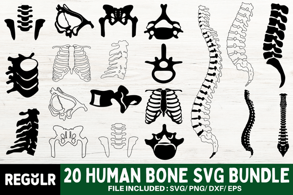 Human Bone SVG Bundle