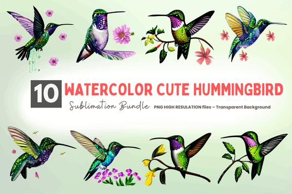 Watercolor  Cute Hummingbird  Clipart Bundle